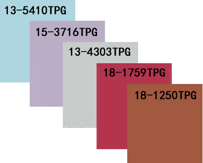  Ceux couleurs populaires que appartiennent à la dentelle en 2021  (2) 
